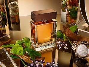 خرید ادکلن دولچه گابانا Dolce & Gabbana The One For Men مدل د وان مردانه حجم 100 میل ادو تویلت با رایحه گرم و ادویه‌ای و ماندگاری بالا